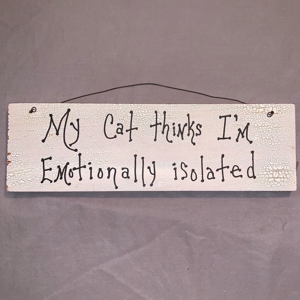 Crazy Cat Lady Sign